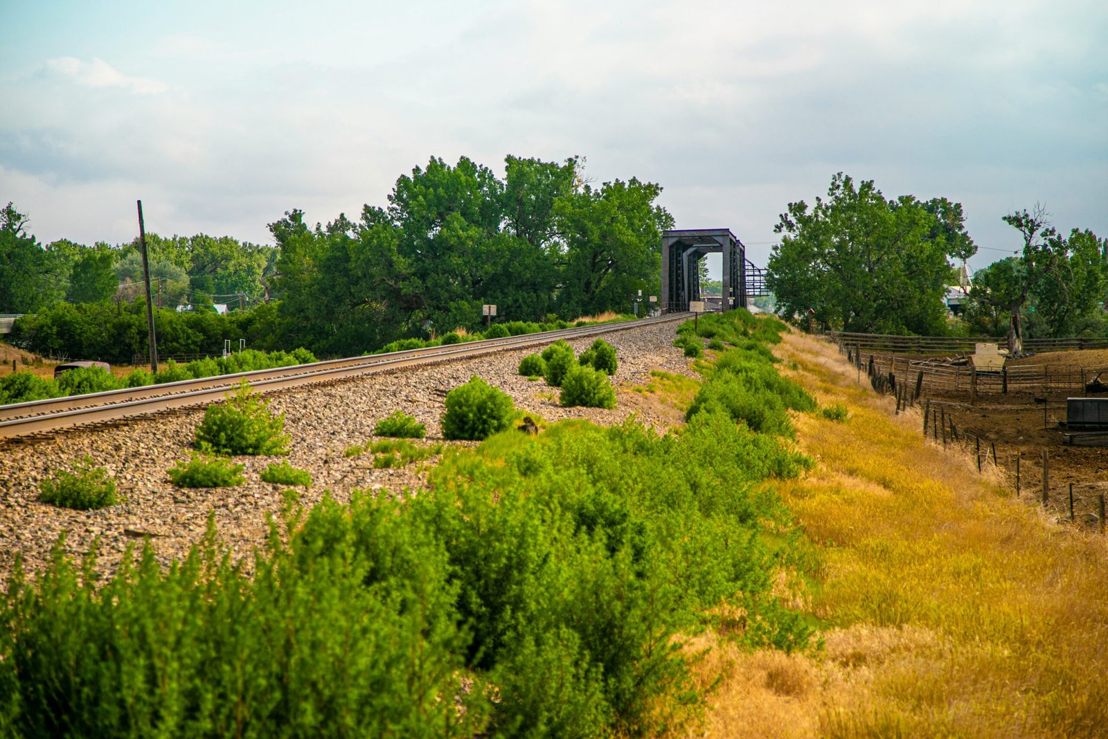 MGC Chapter Two