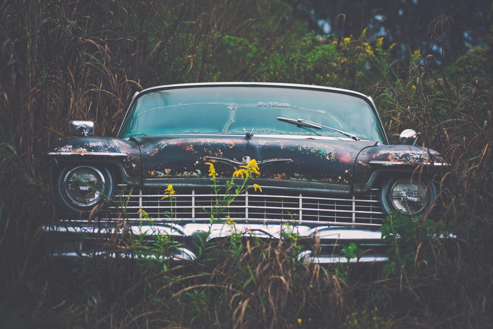 MGC Chapter Thirteen