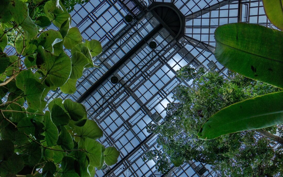 MGC Chapter Twenty-Seven