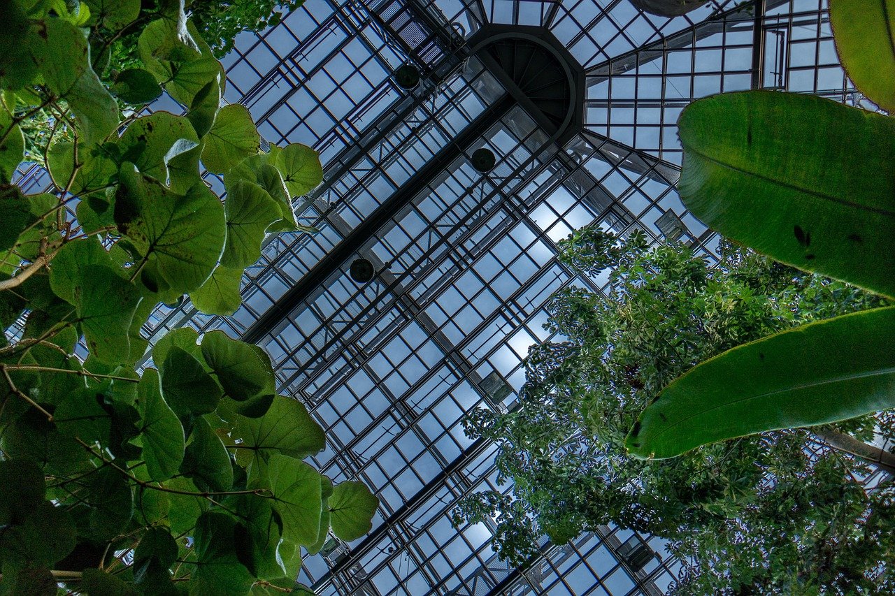 MGC Chapter Twenty-Seven